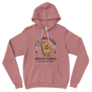 Bad Theology Hurts People | Hoodies